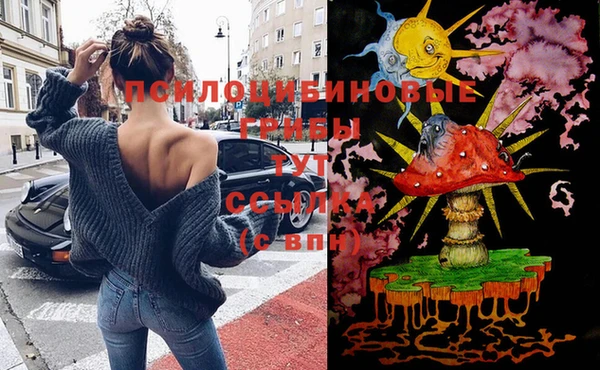 ECSTASY Абаза