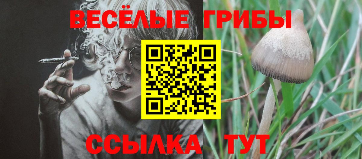 Псилоцибиновые грибы мухоморы  Вход с VPN  Усть-Кут 